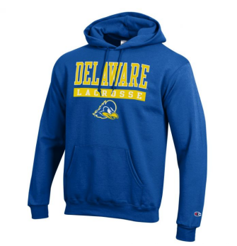 Delaware Champion Team Hoodie